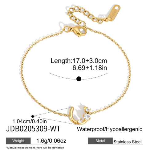BRACELET ACIER REF BR0205309-WT