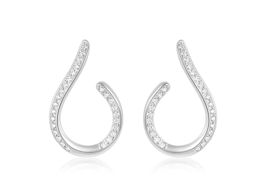 Boucles d'oreilles argent  oz