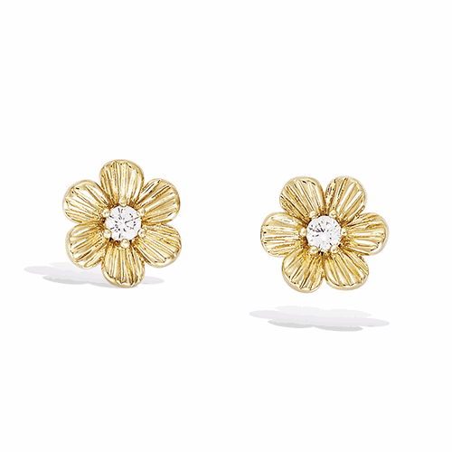 Boucles d’oreilles en plaqué or – 22ED0560CZ