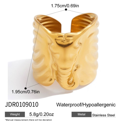 Bague en acier – BG0109010