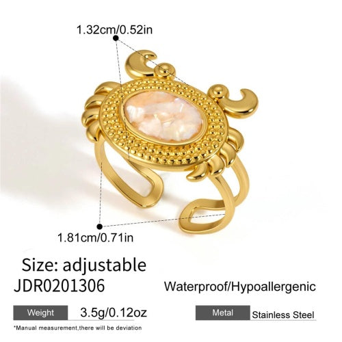 Bague en acier – BG0201306