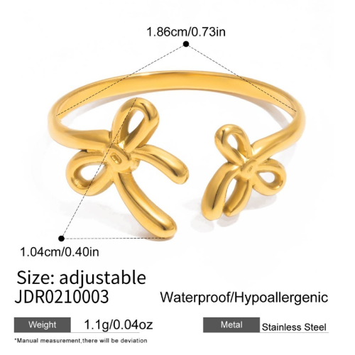 Bague en acier – BG0210003