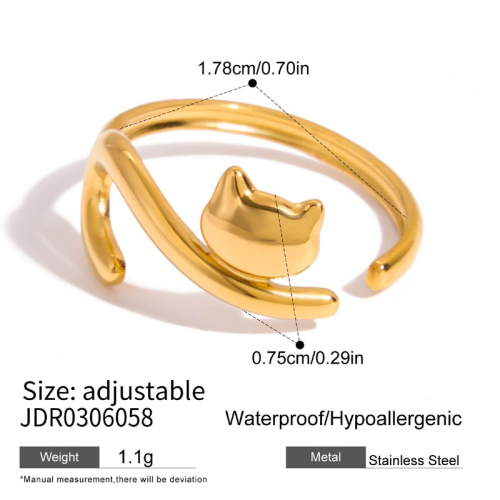 Bague en acier – BG0306058