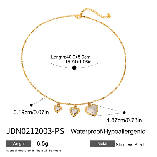 Collier en acier – COL0212003-PS