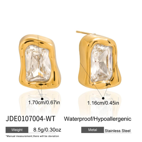 Boucles d’oreilles en acier – E0107004-WT