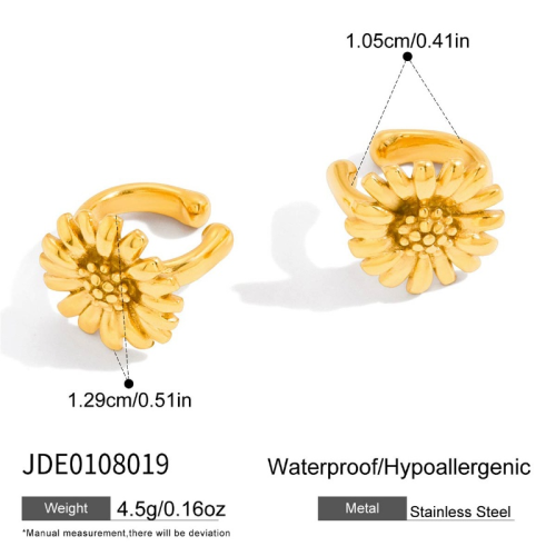 Boucles d’oreilles en acier – E0108019