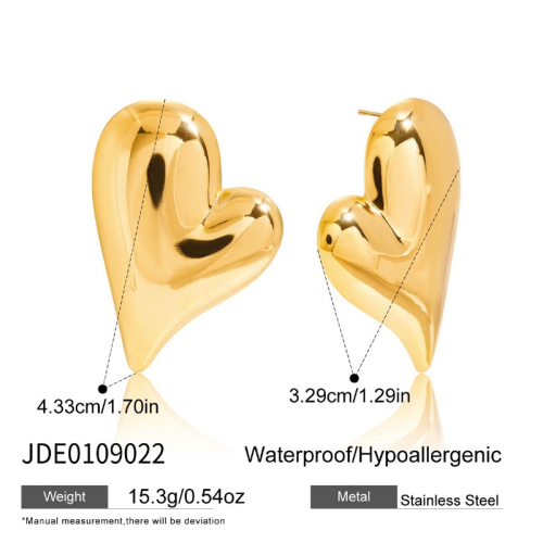 Boucles d’oreilles en acier – E0109022