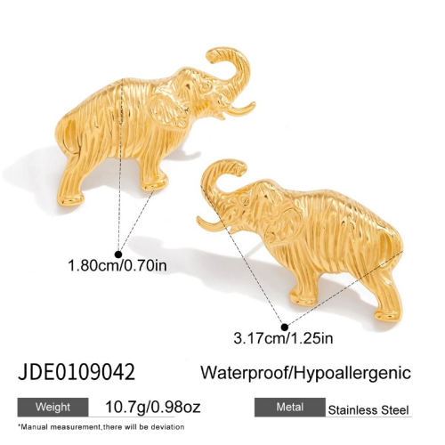 Boucles d’oreilles en acier – E0109042