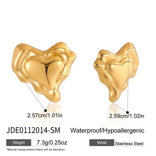 Boucles d’oreilles en acier – E0112014-SM
