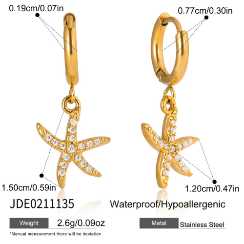 Boucles d’oreilles en acier – E0211135