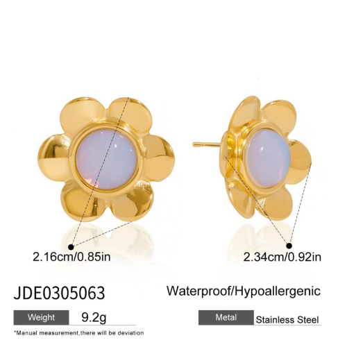 Boucles d’oreilles en acier – E0305063