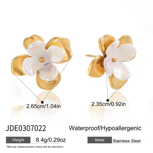 Boucles d’oreilles en acier – E0307022