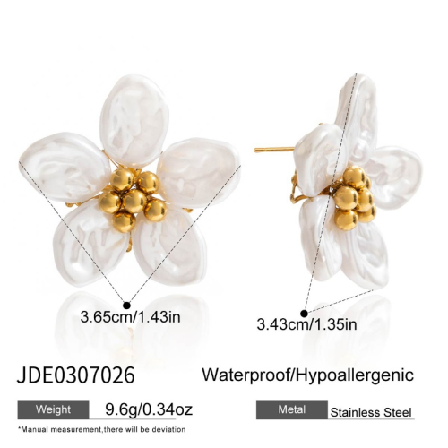 Boucles d’oreilles en acier – E0307026