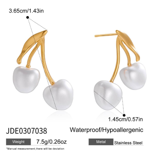 Boucles d’oreilles en acier – E0307038