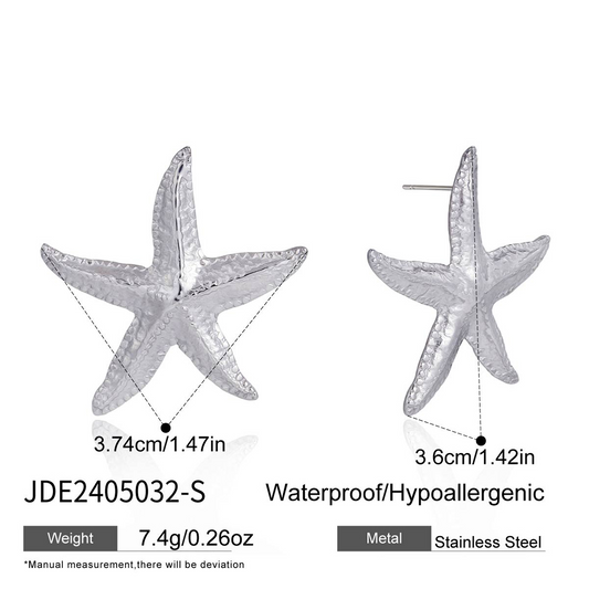 Boucles d’oreilles en acier – E2405032-S