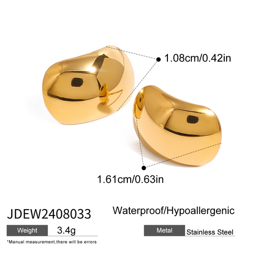 Boucles d’oreilles en acier – EW2408033